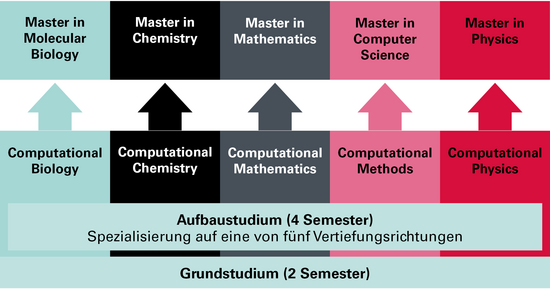 Graphik BSc-MSc