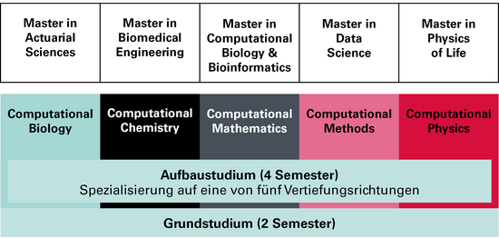 Graphik BSc-MSc allgemein
